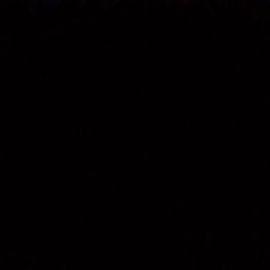 Meet your Posher, Jazzy